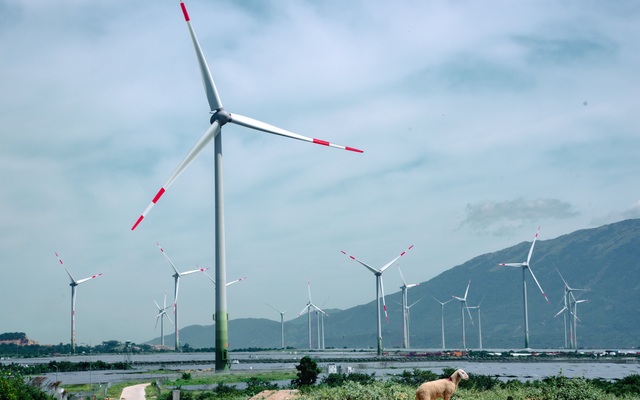 Việt Nam đứng thứ 3 về chuyển đổi năng lượng tái tạo trong khu vực