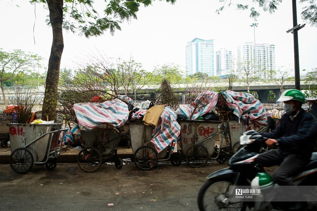 Đào, quất la liệt ngoài đường sau Tết Nguyên đán - Ảnh 5.