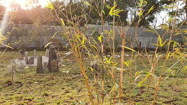  Vườn Zen gần 1ha trong tổ hợp BĐS của ông Đặng Lê Nguyên Vũ vừa khai trương: Xây theo kiến trúc chữa lành Thân – Tâm – Trí, thu vé vào cổng bằng… cây  - Ảnh 4.