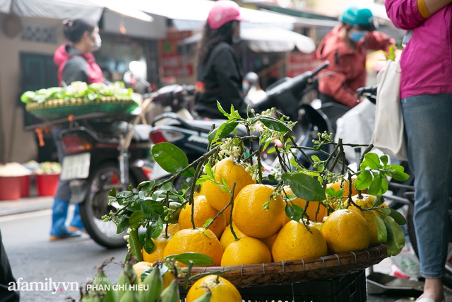 Hàng bưởi Diễn da vàng óng có từng búi hoa tươi trở thành món hàng siêu độc trên chợ nhà giàu Hà Nội, tận 100k/quả, bà chủ thu cả chục triệu mỗi ngày!  - Ảnh 13.