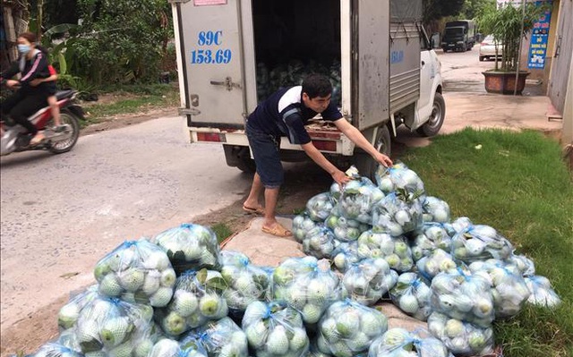 Nông sản được đóng thành từng túi để đưa lên xe vận chuyển đi các tỉnh tiêu thụ. Ảnh: Đinh Tuấn/TTXVN