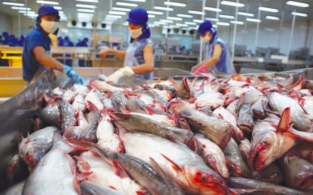 Xuất khẩu thủy sản của Việt Nam đạt trên 606 triệu USD, tăng 23,4% so với cùng kỳ năm trước.