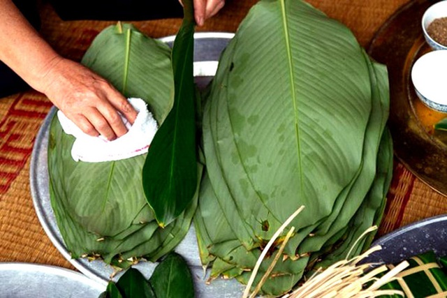 Ngoài gói bánh chưng, chuyên gia tiết lộ lá dong còn có thể chữa bệnh theo cách này nhưng không phải ai cũng biết - Ảnh 1. Ngoài gói bánh chưng, chuyên gia tiết lộ lá dong còn có thể chữa bệnh theo cách này nhưng không phải ai cũng biết - Ảnh 1.