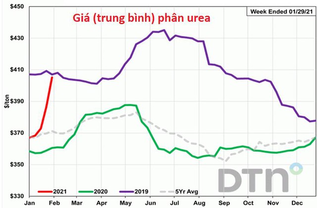 Triển vọng thị trường phân bón thế giới năm 2021 sẽ sôi động cùng nhịp thị trường ngũ cốc - Ảnh 1.