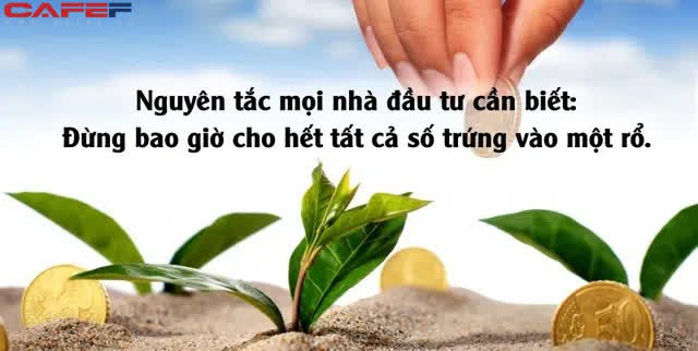 Cả năm 2020 tài vận long đong khiến tôi nhận ra, không tìm cách đa dạng hóa thu nhập thì sẽ mãi bất ổn - Ảnh 1. Cả năm 2020 tài vận long đong khiến tôi nhận ra, không tìm cách đa dạng hóa thu nhập thì sẽ mãi bất ổn - Ảnh 1.
