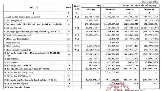 KCN Hiệp Phước (HPI): Báo cáo tự lập năm 2020 báo lãi 215 tỷ đồng - Ảnh 1.