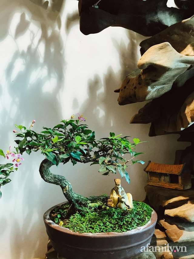 Căn hộ 56m² ấm nồng sắc xuân với cả trăm cây bonsai và hoa ngập tràn ở Hà Nội - Ảnh 17.