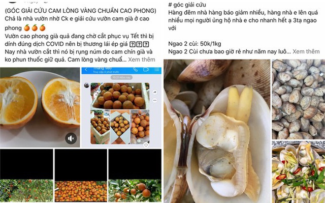 Chợ mạng hô hào giải cứu thực phẩm