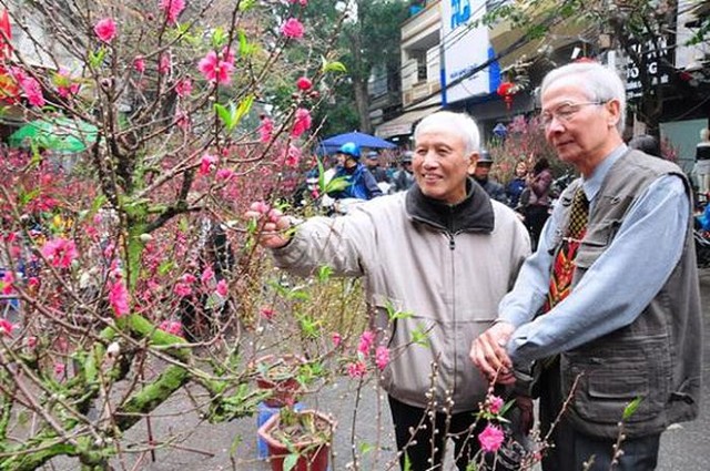 Kinh nghiệm để chọn và chăm sóc hoa đào ngày Tết - Ảnh 1.