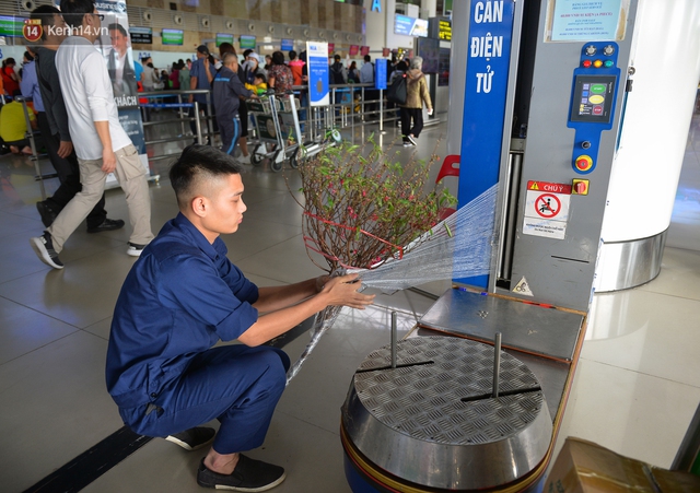 Ảnh: Sân bay Nội Bài vắng vẻ cận Tết Nguyên đán, khác hẳn cảnh tượng đông đúc mọi năm - Ảnh 7.