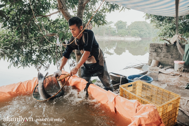 Tết đến! Người dân làng Vũ Đại tất bật bên nồi cá kho bạc triệu và bất ngờ về câu chuyện tìm người nắm giữ công thức trăm năm làm nên sự đình đám của một làng cá - Ảnh 2.