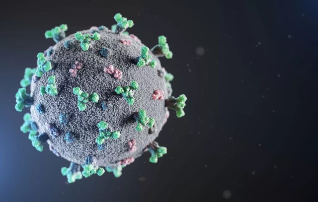 Virus SARS-CoV-2 đột biến đang lén lút qua mắt hệ miễn dịch bằng cách nào? - Ảnh 1.