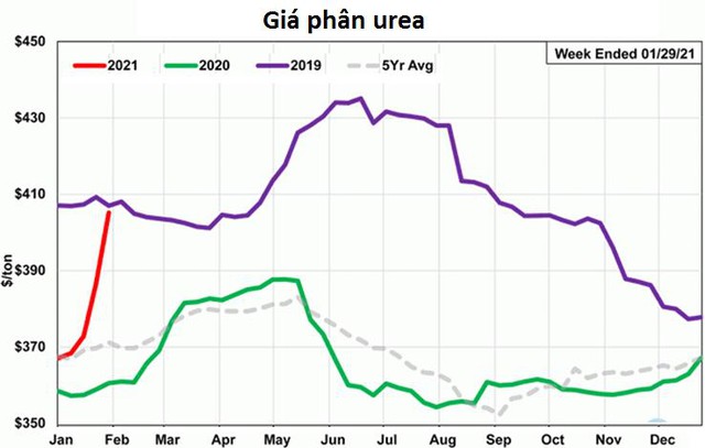 Giá phân bón thế giới tiếp tục tăng sốc ngay đầu năm - Ảnh 3.