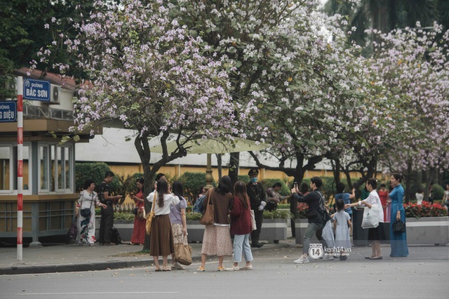 Đường Hoàng Diệu đông nghịt người chụp ảnh suốt nhiều tuần, ai đi qua cũng phải choáng ngợp - Ảnh 6.