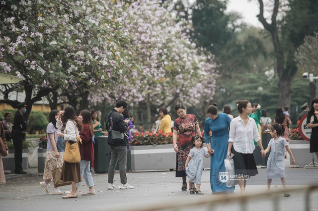 Đường Hoàng Diệu đông nghịt người chụp ảnh suốt nhiều tuần, ai đi qua cũng phải choáng ngợp - Ảnh 7.