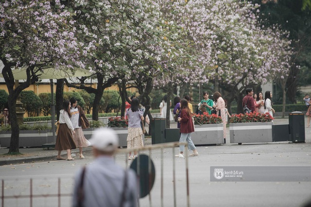 Đường Hoàng Diệu đông nghịt người chụp ảnh suốt nhiều tuần, ai đi qua cũng phải choáng ngợp - Ảnh 10.