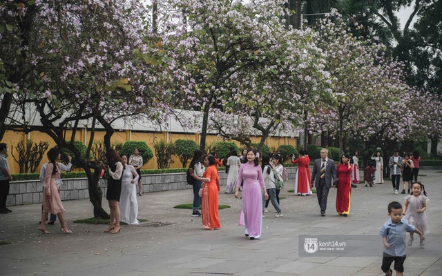 Đường Hoàng Diệu đông nghịt người chụp ảnh suốt nhiều tuần, ai đi qua cũng phải choáng ngợp