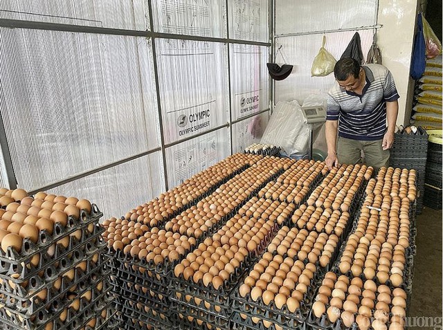 Nghệ An: Giá trứng gia cầm liên tục chạm đáy, người chăn nuôi điêu đứng - Ảnh 1.