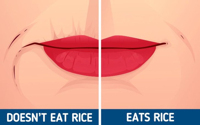 Người Nhật sống lâu nhờ bí quyết ăn cơm lành mạnh: 7 lợi ích kỳ diệu mà cơ thể có được sau khi ăn - Ảnh 3.