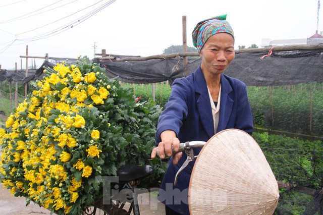 Người dân làng Tây Tựu phấn khởi vì giá hoa hồi sinh - Ảnh 4.