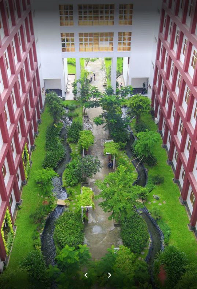 Một trường đại học khiến sinh viên mê mẩn vì quá đẹp: Được mệnh danh là Hồng lâu mộng của Sài Gòn, mỗi góc đều như tranh vẽ - Ảnh 8.