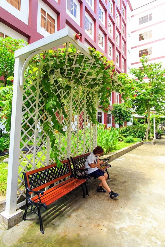 A university fascinated students because it was so beautiful: Dubbed the Long Dream of Saigon, every corner was picturesque - Photo 9.