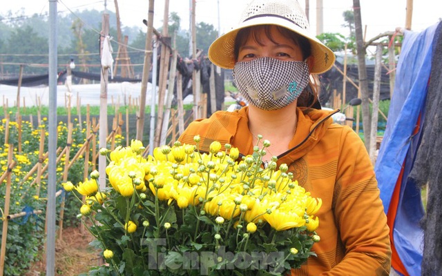 Người dân làng Tây Tựu phấn khởi vì giá hoa 'hồi sinh'