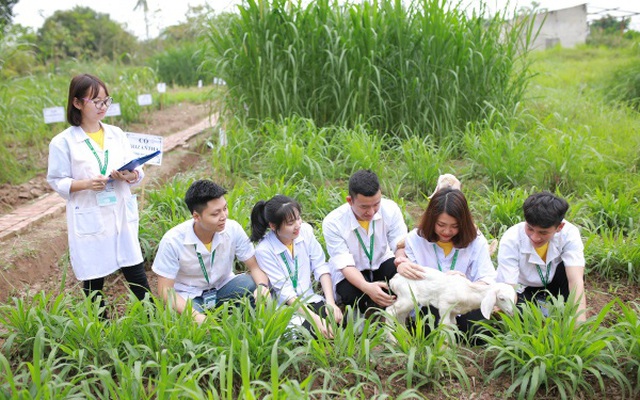 Ngành học với điểm chuẩn thấp, cơ hội tìm việc đếm không xuể, thu nhập cạnh tranh nhưng rất ít sinh viên lựa chọn vì suy nghĩ sai lầm này