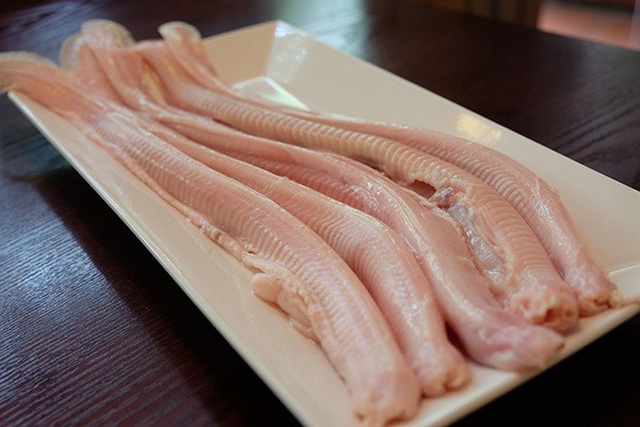 Việt Nam có 5 loại cá được xem là đặc sản nức tiếng, nhìn thì “sợ bỏ chạy” nhưng ăn rồi mới thấy cực ngon! - Ảnh 1.