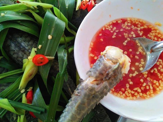 Việt Nam có 5 loại cá được xem là đặc sản nức tiếng, nhìn thì “sợ bỏ chạy” nhưng ăn rồi mới thấy cực ngon! - Ảnh 8.