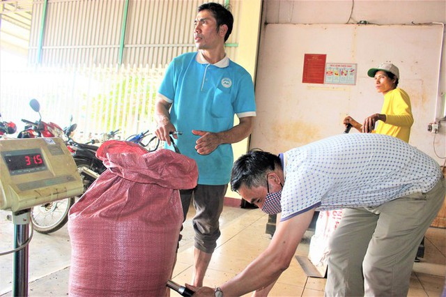 Kỳ lạ, nông dân mua lại hồ tiêu của đại lý đầu cơ giữa lúc giá nhảy múa - Ảnh 2.