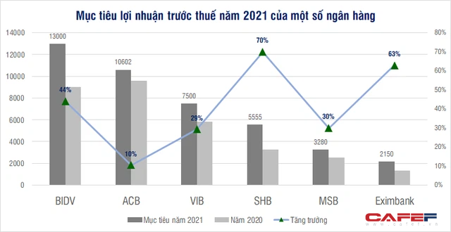 Nhiều ngân hàng đặt mục tiêu lợi nhuận tham vọng - Ảnh 1.