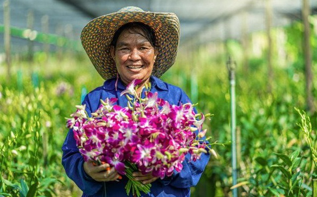 Nghịch lý "chơi lan": Nơi bán tiền tỷ, nơi vứt bỏ vì ế không ai mua