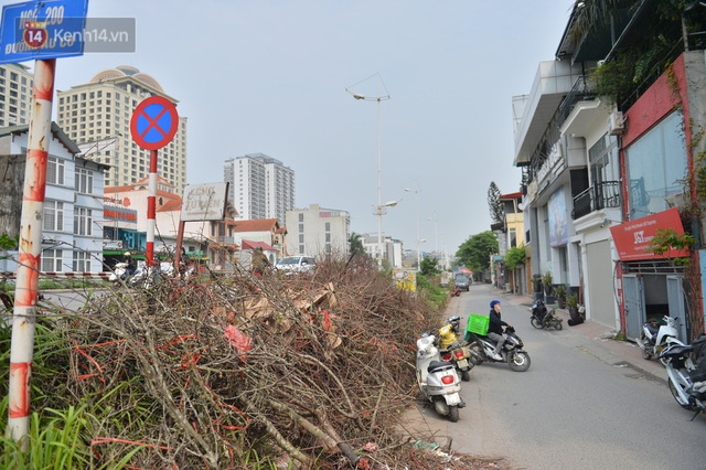 Ảnh: Tiểu thương bỏ của chạy lấy người, hoa lê héo chất đầy triền đê Âu Cơ - Ảnh 2.