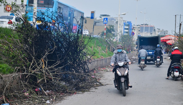 Ảnh: Tiểu thương bỏ của chạy lấy người, hoa lê héo chất đầy triền đê Âu Cơ - Ảnh 12.