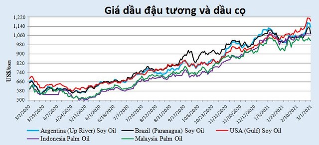 Giá dầu thực vật có thể đã đạt “đỉnh” nhưng khả năng giá giảm nhanh khó xảy ra - Ảnh 1.
