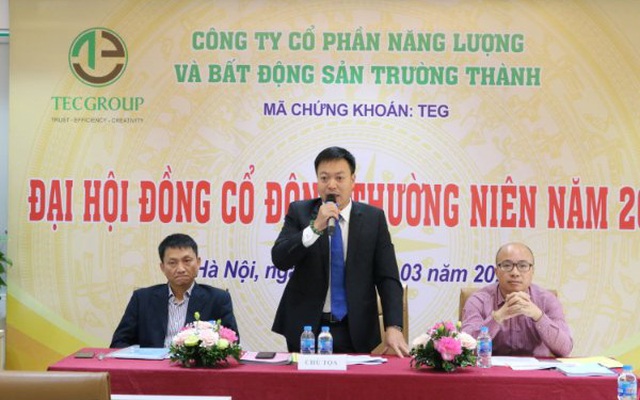 ĐHCĐ TEC Group (TEG): Đặt kế hoạch lợi nhuận năm 2021 gấp 11 lần, phát hành tăng vốn mua cổ phần công ty Năng lượng Trường Thành