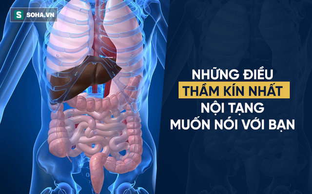 Đường ruột là nhà vệ sinh của cơ thể, làm sao để làm sạch cặn bã là điều ai cũng nên biết - Ảnh 1.