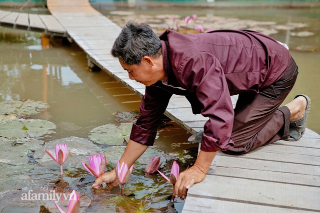 Ly kỳ hàng nghìn con CÁ LÓC BIẾT BAY khi nghe tiếng chủ ở Cồn Sơn và chuyện tình của ông Vua cá dành cho vợ: Làm gì làm, sáng ra phải hun bả một cái! - Ảnh 20.