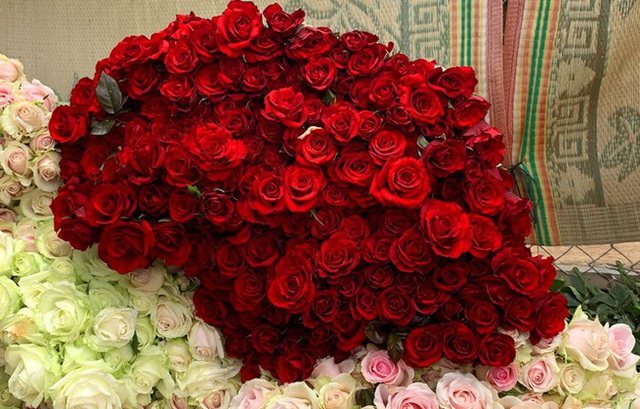 Hoa hồng Đà Lạt tiêu thụ mạnh, giá cao dịp Quốc tế Phụ nữ - Ảnh 11.
