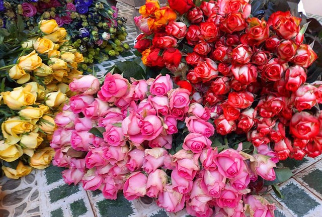 Hoa hồng Đà Lạt tiêu thụ mạnh, giá cao dịp Quốc tế Phụ nữ - Ảnh 12.