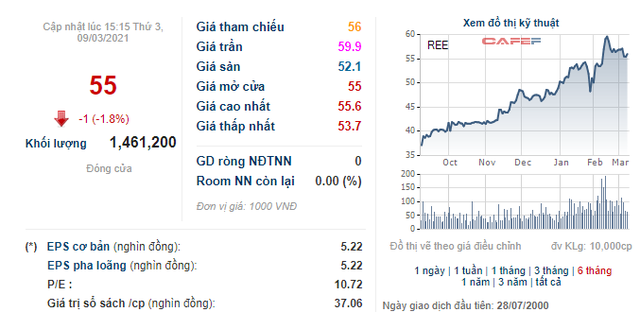 Cơ điện lạnh REE đặt mục tiêu lãi sau thuế 1.769 tỷ đồng năm 2021, không chia cổ tức năm 2020 - Ảnh 5.