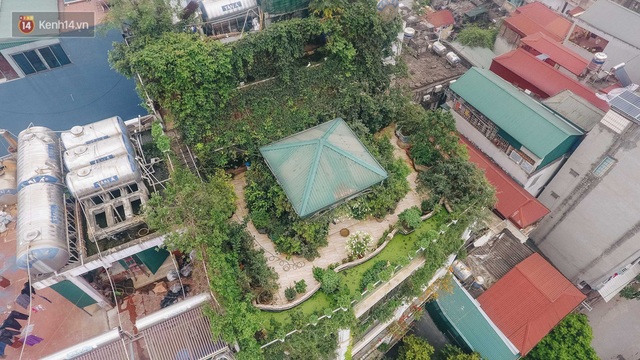 Forest drone on the terrace of the Hanoi woman: 200m2 wide, 1,500 lilies covered - Photo 2.