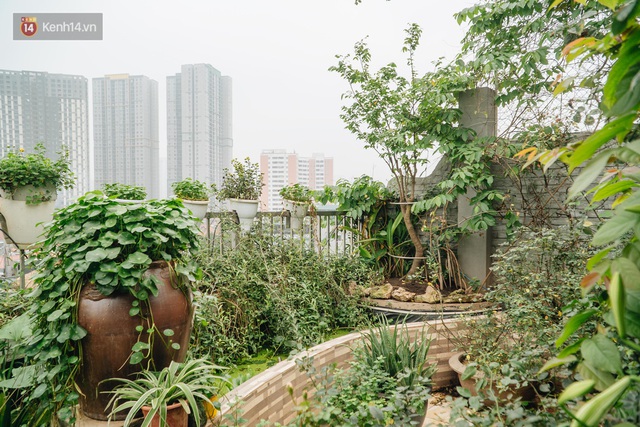 Forest drone on the terrace of the Hanoi woman: 200m2 wide, 1,500 lilies covered - Photo 14.