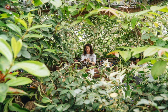 Forest drone on the terrace of the Hanoi woman: 200m2 wide, 1,500 lilies covered - Photo 19.