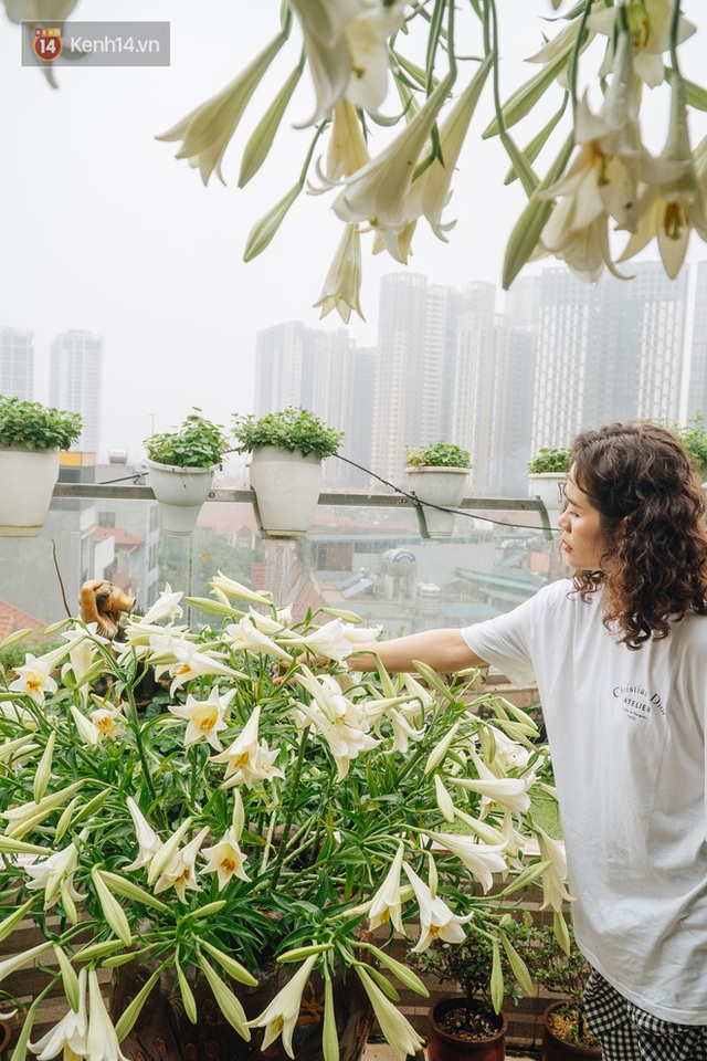 Forest drone on the terrace of the Hanoi woman: 200m2 wide, 1,500 lilies covered - Photo 21.