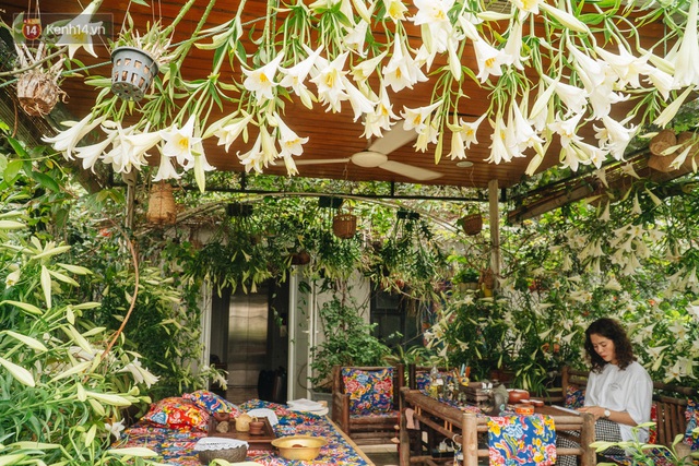 Forest drone on the terrace of the Hanoi woman: 200m2 wide, 1,500 lilies covered - Photo 22.