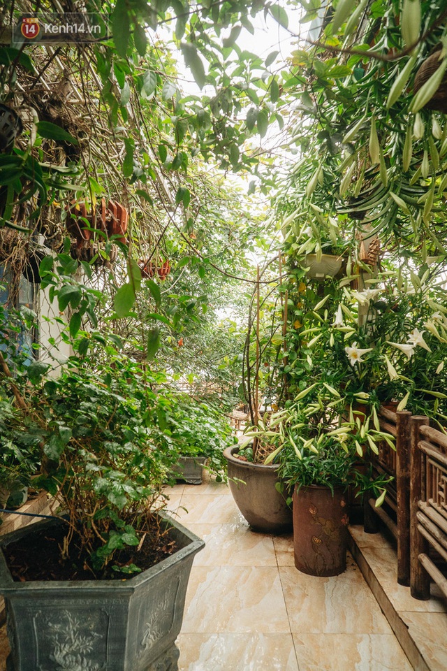 Forest drone on the terrace of the Hanoi woman: 200m2 wide, 1,500 lilies covered - Photo 35.