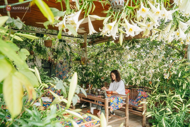 Forest drone on the terrace of the Hanoi woman: 200m2 wide, 1,500 lilies covered - Photo 6.