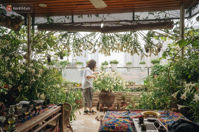 Forest drone on the terrace of the Hanoi woman: 200m2 wide, 1,500 lilies covered - Photo 7.